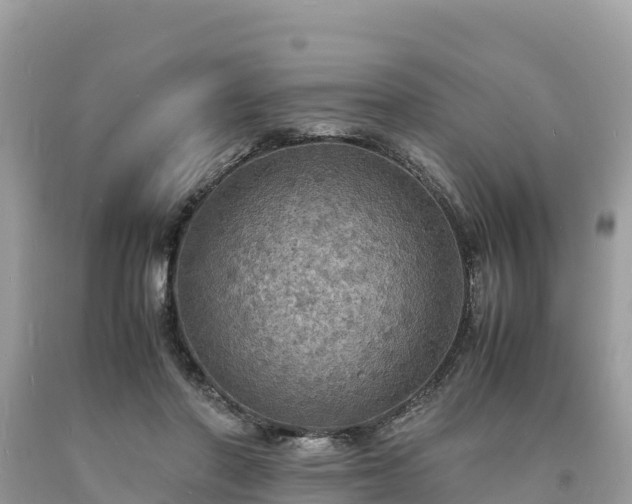 X0000093730406200710231155