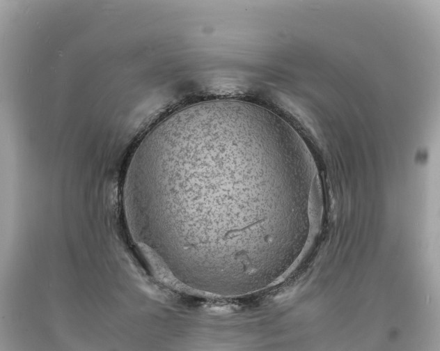 X0000093730407200710231155