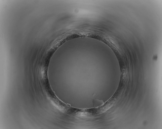X0000093730408200710231155