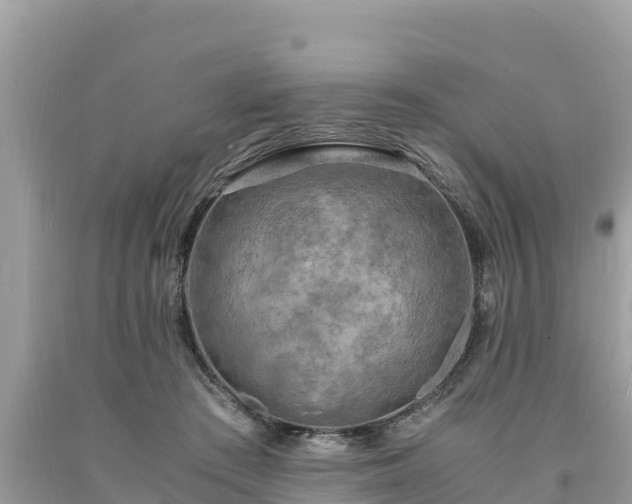 X0000093730409200710231155