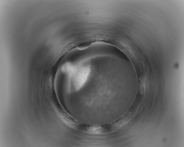 X0000093730410200710231155