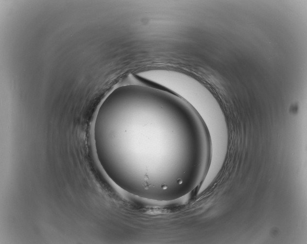 X0000093730415200710231155