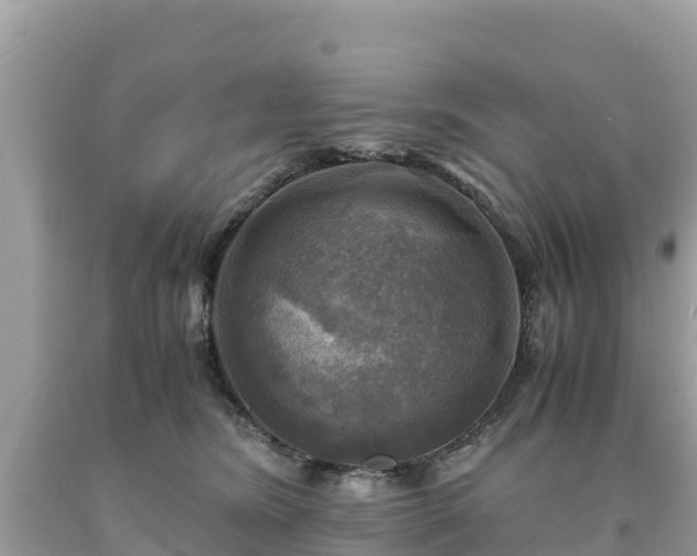X0000093730420200710231155