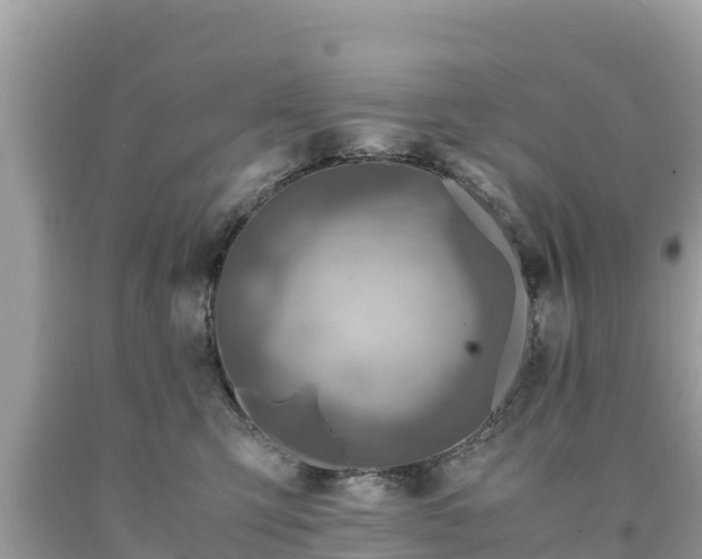 X0000093730423200710231155