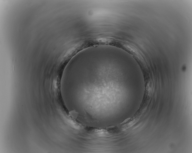 X0000093730424200710231155