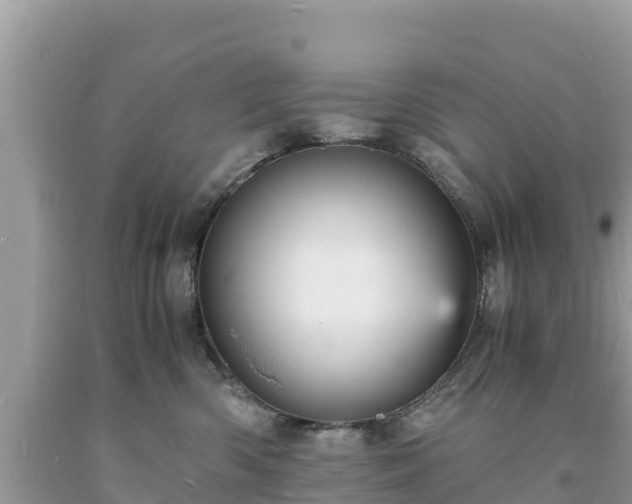 X0000093730426200710231155