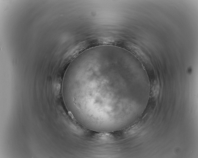 X0000093730427200710231155