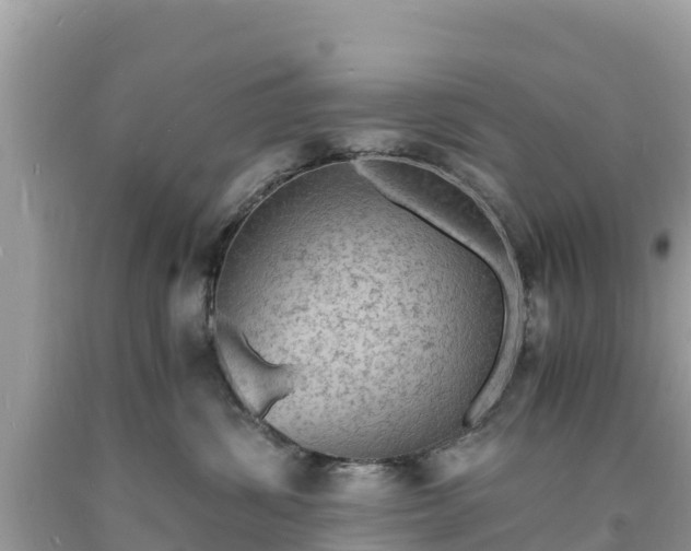 X0000093730428200710231155