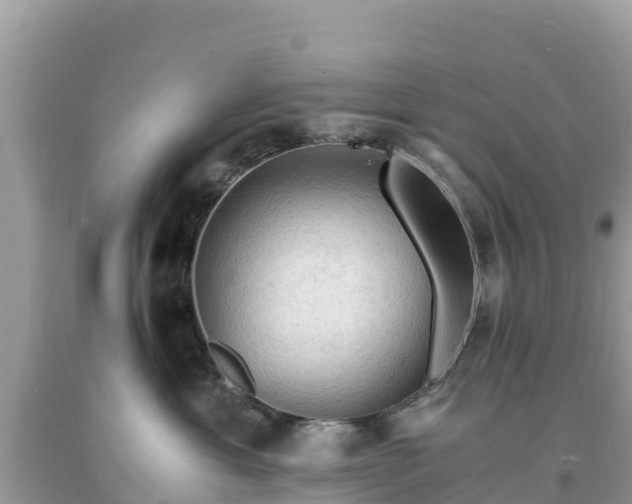 X0000093730429200710231155
