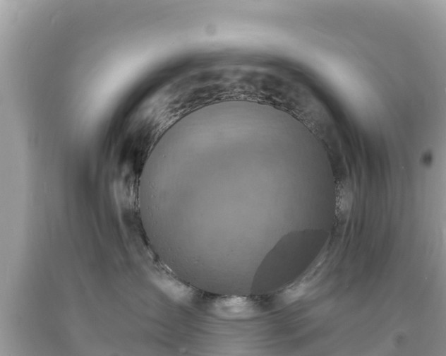 X0000093730431200710231155