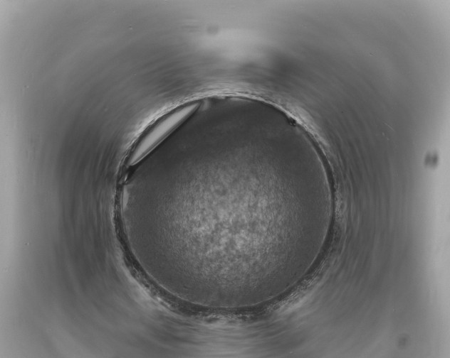 X0000093730434200710231154