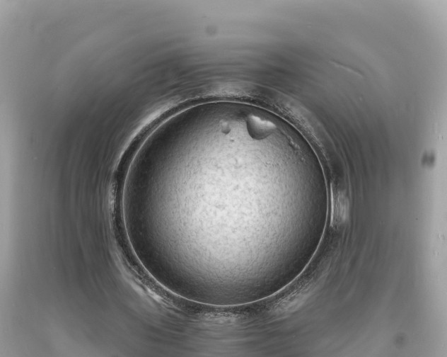 X0000093730435200710231154