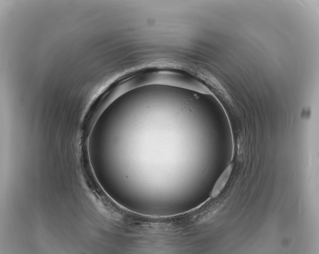 X0000093730436200710231154