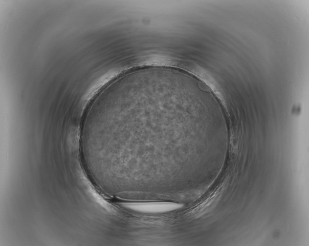 X0000093730437200710231155