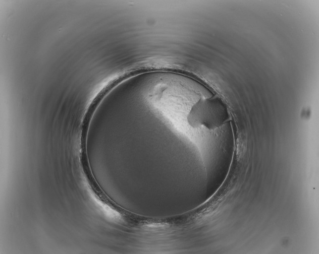 X0000093730438200710231155
