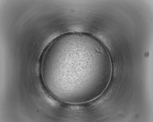 X0000093730439200710231155