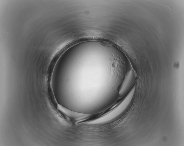 X0000093730440200710231155