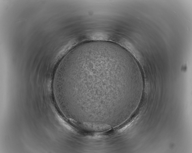 X0000093730441200710231155