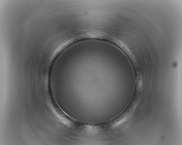 X0000093730442200710231155