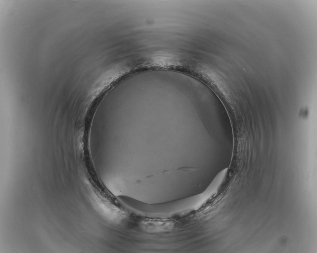 X0000093730443200710231155