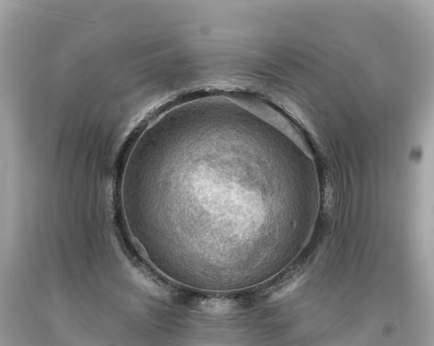 X0000093730444200710231155