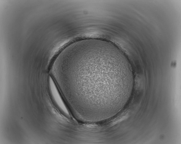 X0000093730446200710231155
