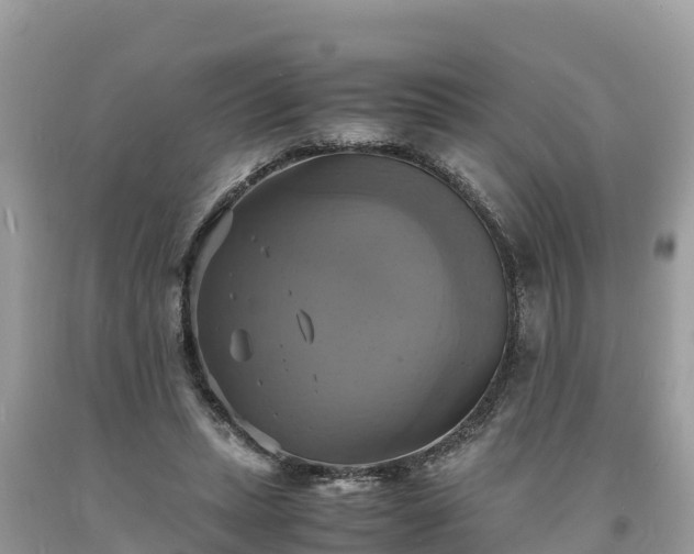 X0000093730447200710231155
