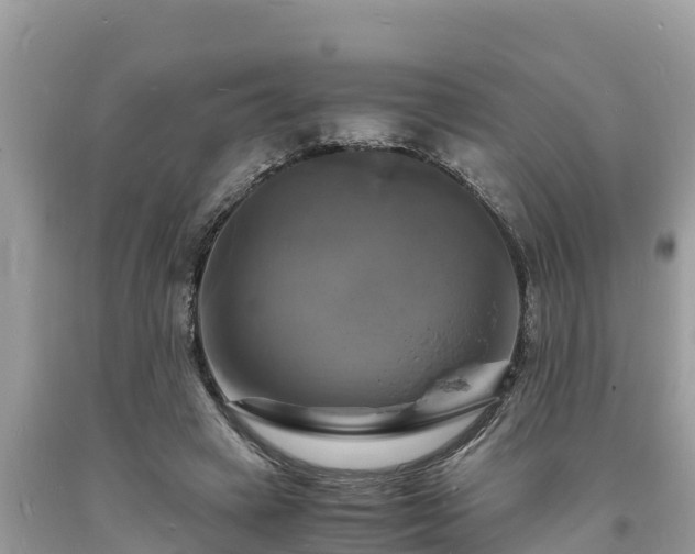 X0000093730449200710231155