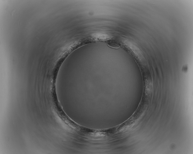 X0000093730451200710231155