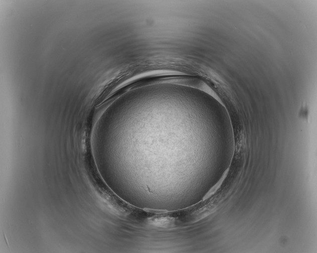 X0000093730452200710231155