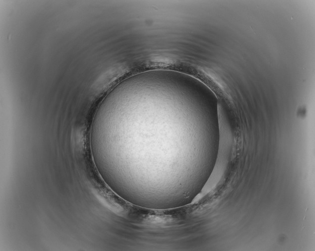 X0000093730455200710231155