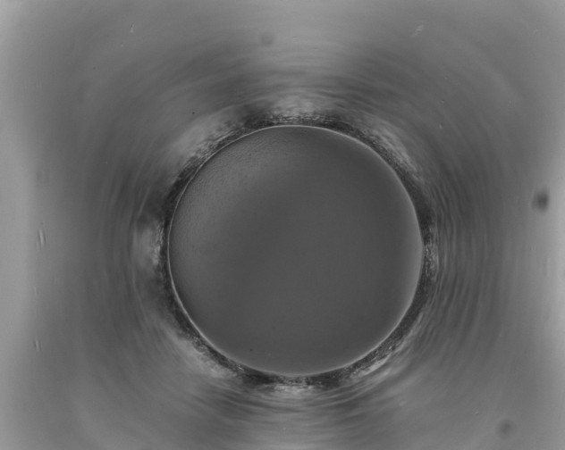 X0000093730458200710231155