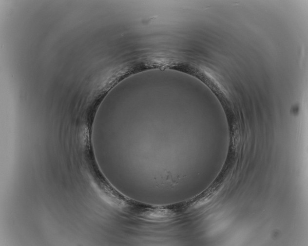 X0000093730459200710231155
