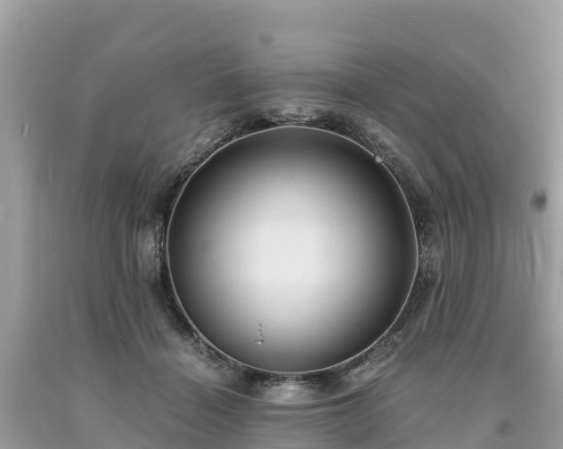 X0000093730460200710231155