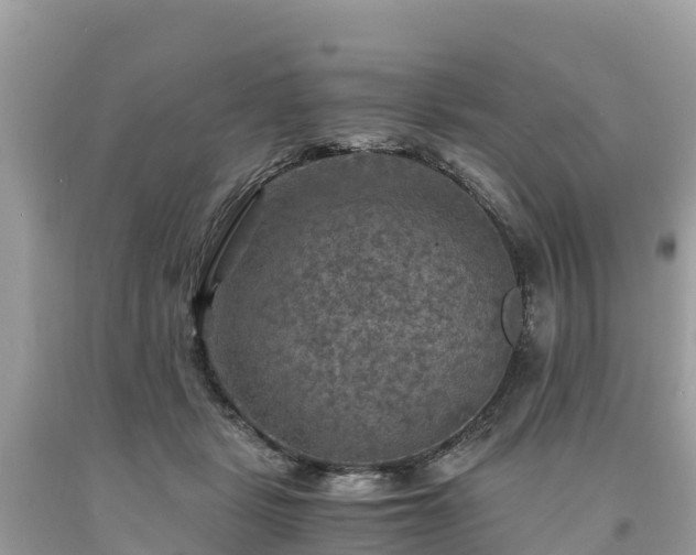 X0000093730461200710231155