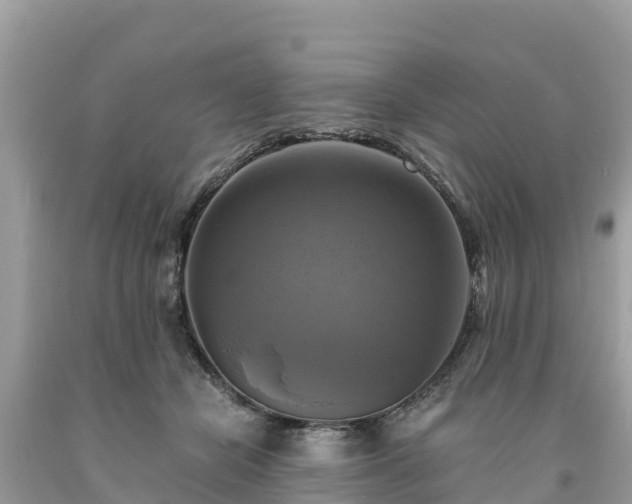 X0000093730462200710231155