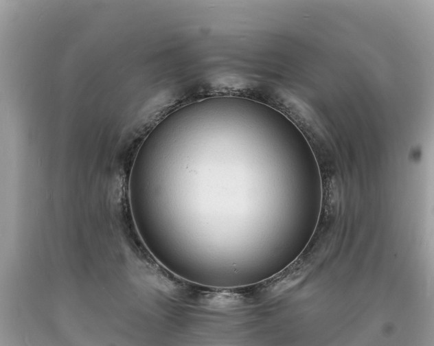 X0000093730463200710231155