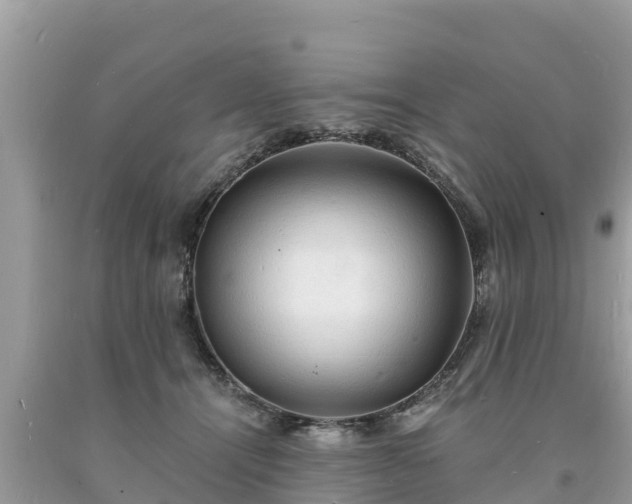 X0000093730464200710231155