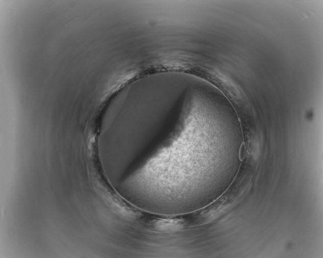 X0000093730465200710231155