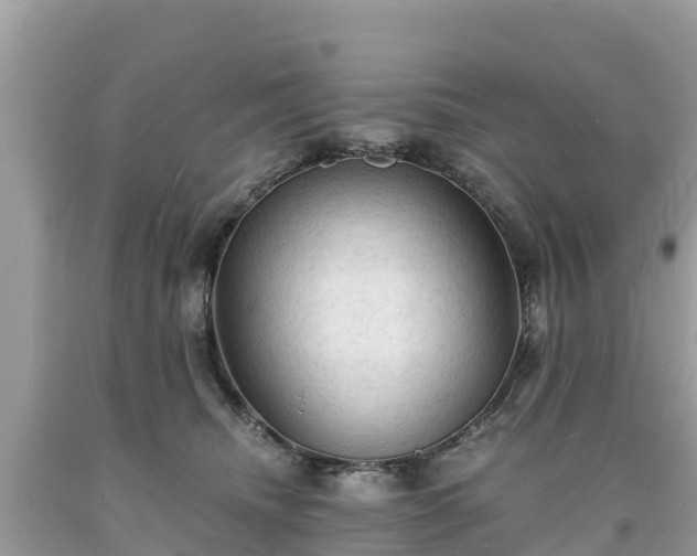 X0000093730468200710231155