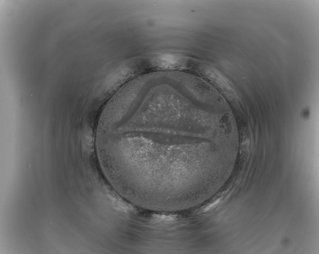 X0000093730469200710231155