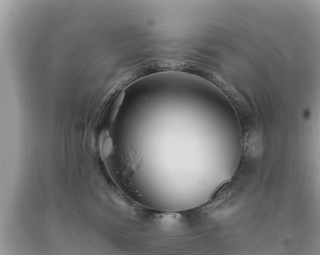 X0000093730474200710231155