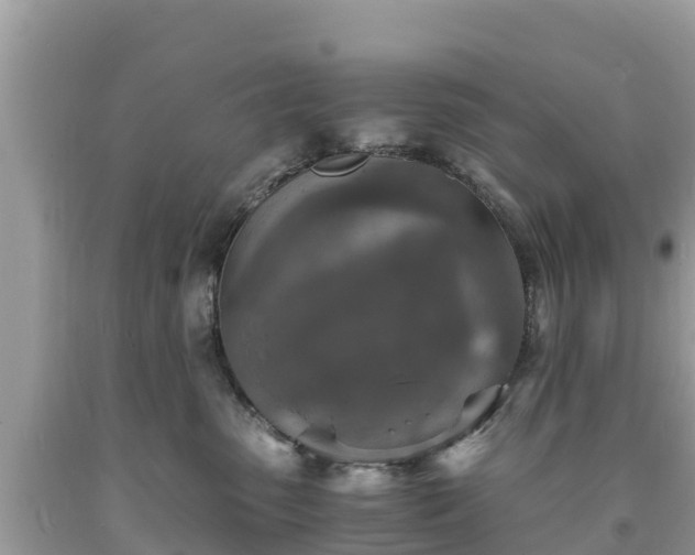 X0000093730475200710231155