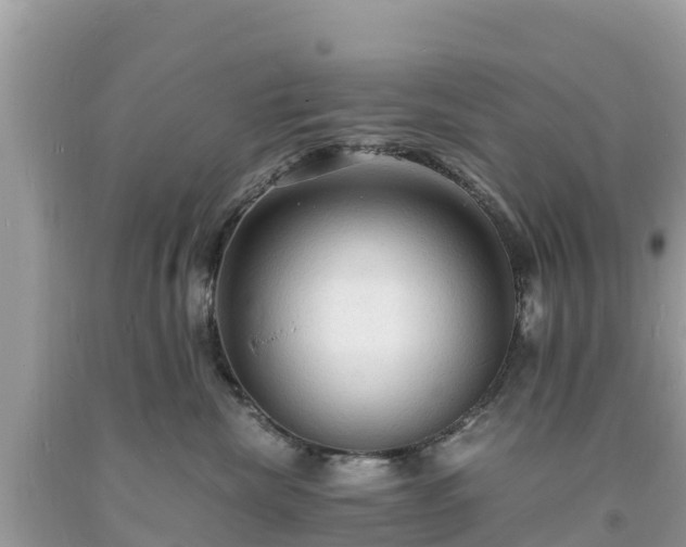 X0000093730476200710231155