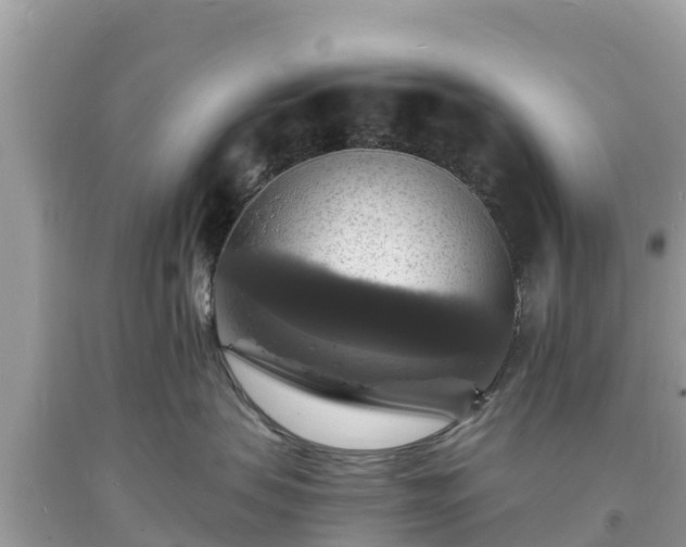 X0000093730479200710231155