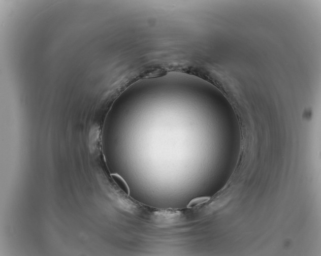 X0000093730480200710231155