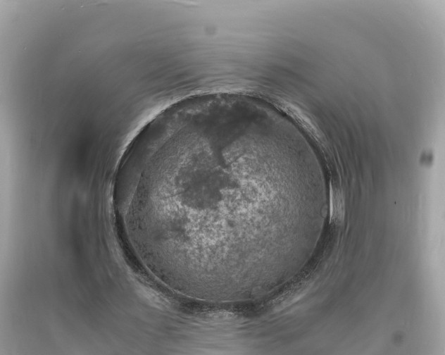 X0000093730483200710231154