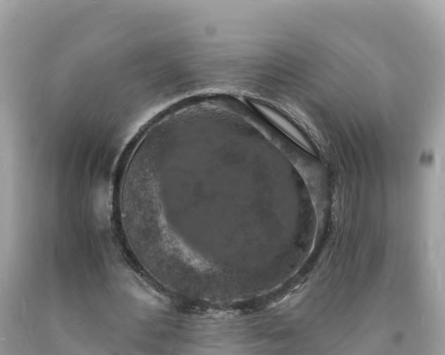 X0000093730484200710231154