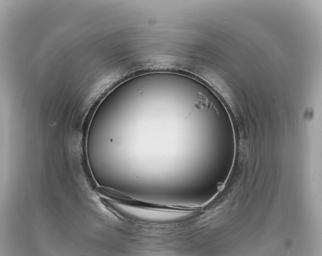 X0000093730485200710231154