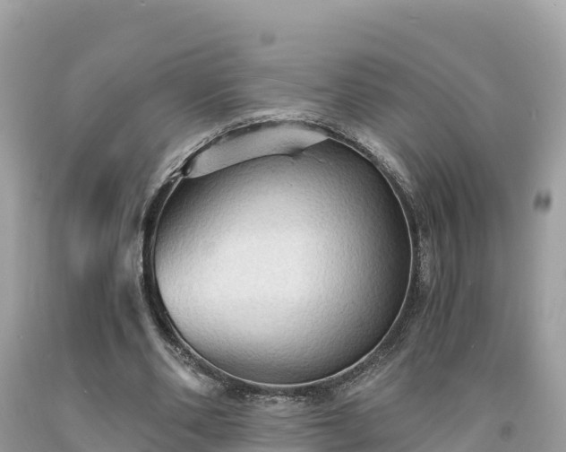 X0000093730486200710231154